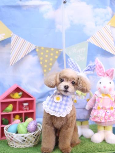 20240301モカくん